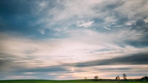 Time Lapse Time-lapse Timelapse del campo primaverile al tramonto della sera. Naturale luminoso drammatico cielo rosa colori sopra paesaggio di campagna. Paesaggio — Video Stock