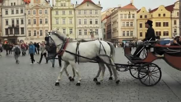 Praga Czechy Września 2017 Staromodny Trener Woźnica Rynku Starego Miasta — Wideo stockowe