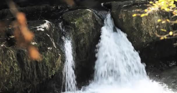 Martvili Kanyonu, Georgia 'daki şelaleler. Peyzaj Abasha Nehri. Doğal Anıt Inchkhuri köyünde yer almaktadır. — Stok video