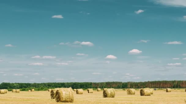 Paisagem rural campo prado com fardos de feno após a colheita. Time Lapse, Timelapse, Time-lapse — Vídeo de Stock