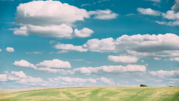 夏の田園風景のタイムラプス｜ふわふわの雲が広がる風景劇の空の下の草原風景. — ストック動画