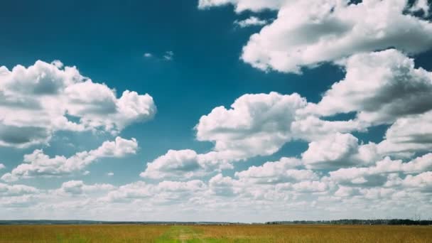 Time-lapse of Summer Countryside Αγροτικό πεδίο Λιβάδι τοπίο κάτω από το σκηνικό δραματικό ουρανό με αφράτα σύννεφα. — Αρχείο Βίντεο