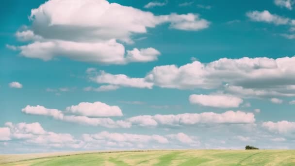 Tidsförskjutning av sommaren Landsbygd Landsbygd Äng Landskap Under Scenic Dramatic Sky Med fluffiga moln. — Stockvideo