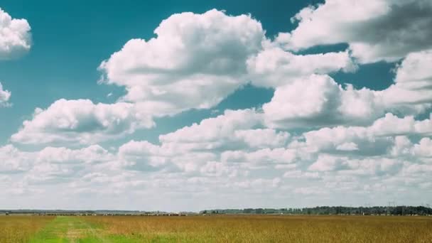 Tiempo-lapso de verano Campo rural pradera paisaje bajo escénico dramático cielo con nubes esponjosas . — Vídeo de stock