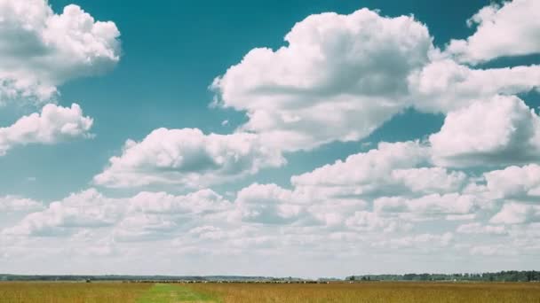 夏の田園風景のタイムラプス｜ふわふわの雲が広がる風景劇の空の下の草原風景. — ストック動画