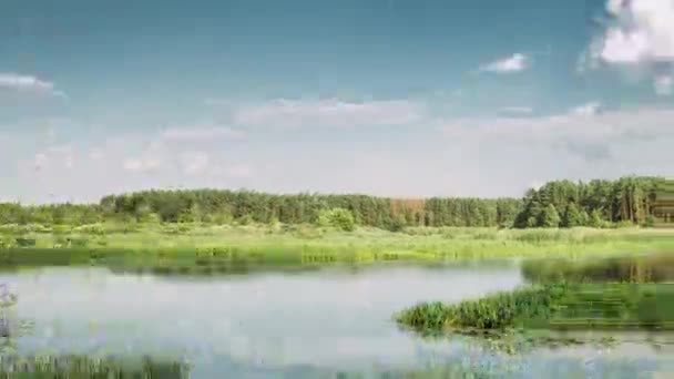 Paysage fluvial en Biélorussie ou partie européenne de la Russie en soirée d'été. Bois avec feuillage vert sur le bord de la rivière. Hyperlapsus, Time-lapse — Video