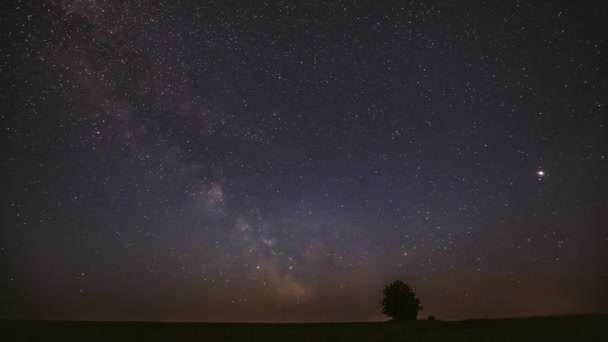 Milky Way Galaxy In Night Starry Sky Above Lonely Tree In Summer Meadow. Светящиеся звезды и метеоритные тропы над ландшафтом. Вид из Европы — стоковое видео