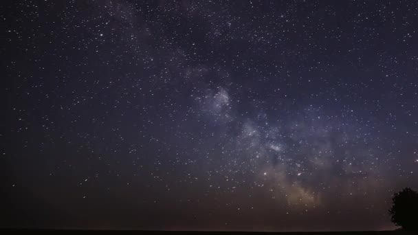 Via Lattea Galassia Di Notte Cielo Stellato Sopra Albero Solitario In Estate Prato. Stelle incandescenti e sentieri di meteorite sopra il paesaggio. Vista dall'Europa — Video Stock