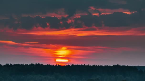 Východ slunce nad lesní krajinou. Scénický pohled na ranní oblohu s vycházejícím sluncem nad lesem. Časná letní příroda Evropy. Časová prodleva, Časová prodleva, Časová prodleva — Stock video