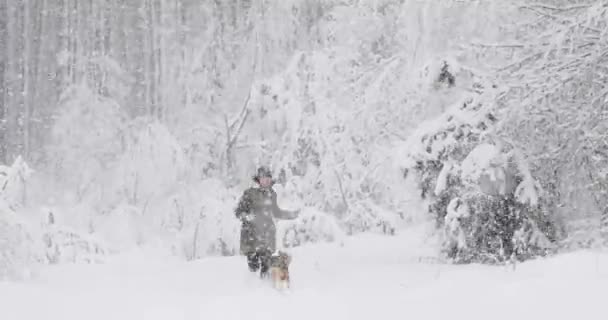 Jovem bela caucasiana menina mulher vestida com jaqueta jogando Wiht filhote de cão de raça mista na floresta de inverno no dia nevado — Vídeo de Stock