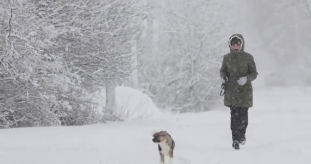 雪の日に冬の森の中で混合繁殖犬の子犬なしで遊ぶジャケット姿の若い美しい白人の女の子の女性 — ストック動画