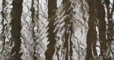 Kış Ormanındaki Akıntı. Karların Arasında Erimiş Su Akışı. Avrupa Doğasında Baharın Yaklaşması