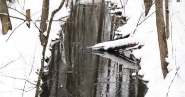 Kış Ormanındaki Akıntı. Karların Arasında Erimiş Su Akışı. Avrupa Doğasında Baharın Yaklaşması