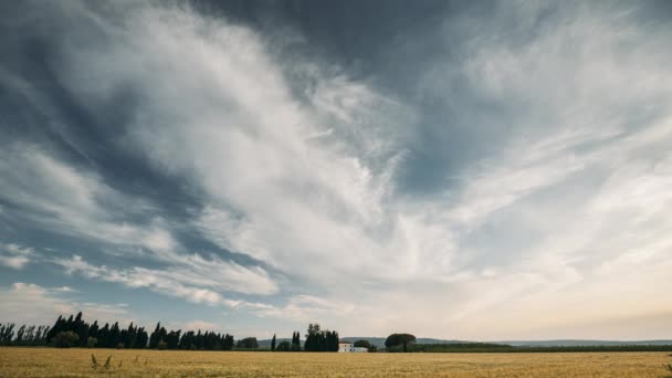 Cataluña, España. Cielo nocturno de verano por encima del paisaje del campo de trigo rural español. Trigo amarillo al atardecer — Vídeo de stock