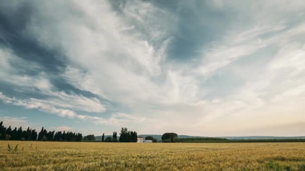 スペイン・カタルーニャ州。スペイン地方の田舎の小麦畑の風景の上の夏の夜の空。夕暮れ時の黄色の小麦 — ストック動画