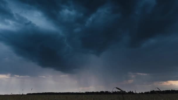 Serata estiva al tramonto sopra la campagna Paesaggio rurale del campo di grano. Cielo scenico drammatico con nuvole di pioggia su orizzonte — Video Stock