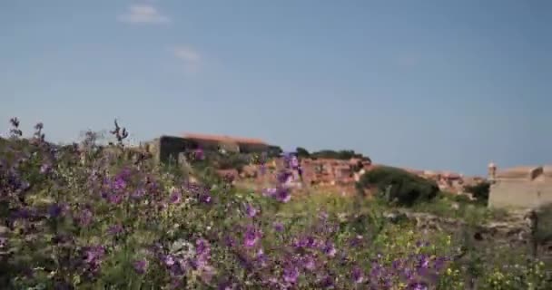 法国Collioure 从港口的泊位到阳光明媚的春天里的五彩缤纷的丘陵景观 — 图库视频影像