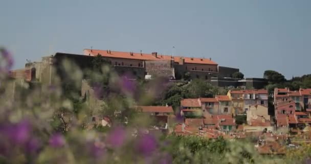 Collioure, Frankreich. Blick vom Liegeplatz im Hafen nach Collioure Hügeliges Stadtbild im sonnigen Frühling — Stockvideo