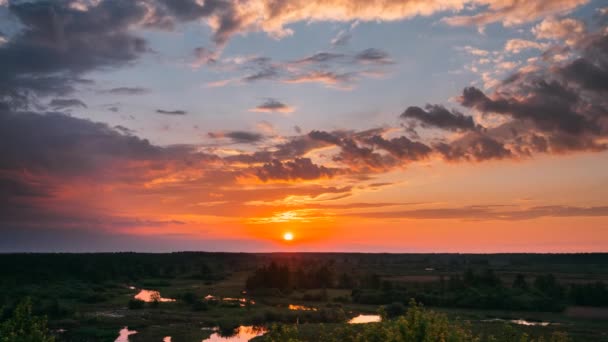 Increíble amanecer sobre el bosque de verano y el paisaje del río. Vista panorámica del cielo matutino con sol naciente sobre el bosque. Principios de verano Naturaleza de Europa. — Vídeo de stock