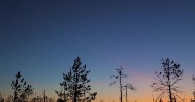 Berezinsky, Biyosfer Rezervi, Belarus. Günbatımında Bataklıkla Sonbahar Şafağı Manzarası. Koyu Ağaçlar Siluetleri