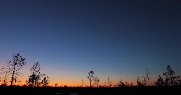 ベラルーシの生物圏保護区ベレツィンスキー。夕日の間にマーシュ湿地と秋の夜明けの風景.ダークツリーシルエット — ストック動画