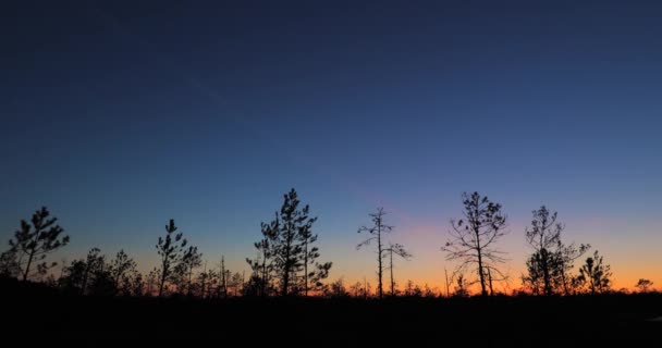 Berezinsky, Reserva de la Biosfera, Belarús. Paisaje del amanecer otoñal con pantano de pantano durante la puesta del sol. Siluetas de árboles oscuros — Vídeo de stock