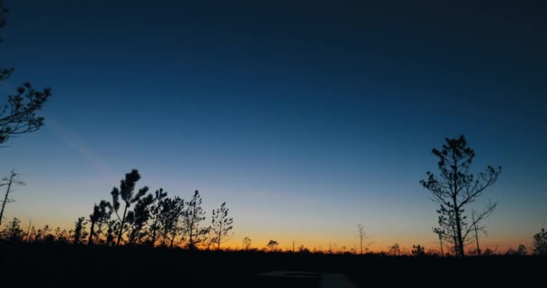 Berezinsky, Rezerwat Biosfery, Białoruś. Krajobraz jesiennego świtu z bagiennymi bagnami podczas zachodu słońca. Ciemne drzewa sylwetki — Wideo stockowe