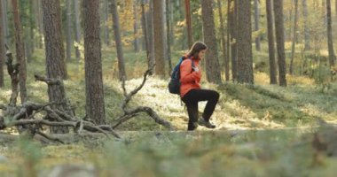 Beyaz Rusya. Genç Aktif Kafkas Kadın Sonbahar Ormanında Yürüyor. Sonbahar Doğası 'nda aktif yaşam tarzı. Vahşi Ormanda Yürüyen Kadın