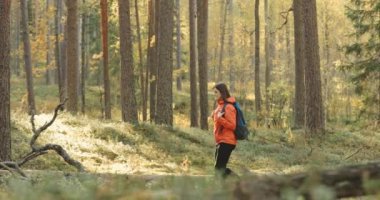 Beyaz Rusya. Genç Aktif Kafkas Kadın Sonbahar Ormanında Yürüyor. Sonbahar Doğası 'nda aktif yaşam tarzı. Vahşi Ormanda Yürüyen Kadın