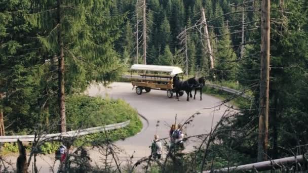 Εθνικό Πάρκο Τάτρα, Πολωνία. Οι άνθρωποι με εθνικές παραδοσιακές πολωνικές λαϊκές εθνικές στολές βόλτα ένα καλάθι που αξιοποιείται από ένα ζευγάρι των αλόγων κατά μήκος ενός ορεινού δρόμου — Αρχείο Βίντεο