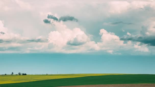 Tractor Plowing Field In Spring Season (em inglês). Início da temporada de primavera agrícola . — Vídeo de Stock