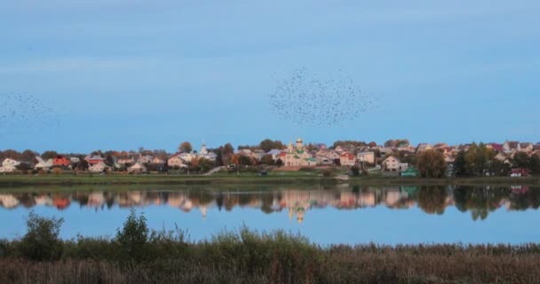Glubokoye, περιφέρεια Vitebsk, Λευκορωσία. Σμήνη πουλιών πετά πάνω από τη Βασιλική Εκκλησία του Αγίου Πέτρου και Παύλου και Μονή, Ιδιωτικός Οικιστικός Τομέας από την ακτή της λίμνης Velikoe — Αρχείο Βίντεο