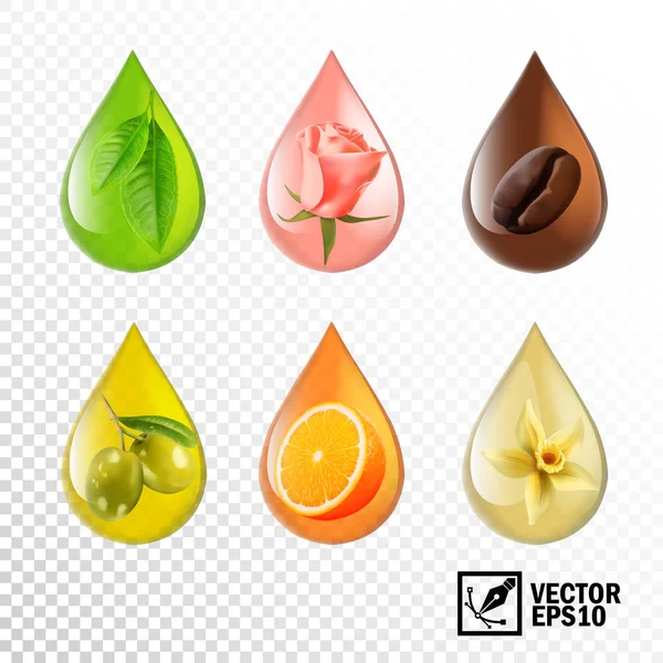 Realistic Vector Transparent Drops Oil Taste Aroma Tea Rose Coffee — Stock Vector