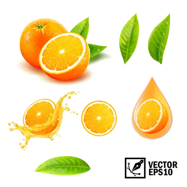 Vector Realista Conjunto Elementos Naranja Entera Naranja Rodajas Zumo Naranja — Archivo Imágenes Vectoriales