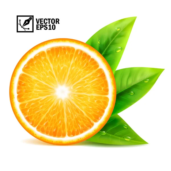 Ensemble Éléments Vectoriels Réalistes Tranche Orange Fraîche Avec Feuilles Gouttes — Image vectorielle