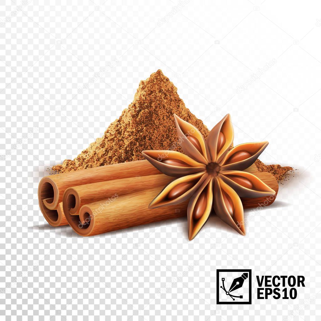 3d realistic vector set of cinnamon sticks, anise stars and a pile of cinnamon