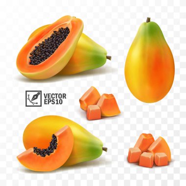 3D gerçekçi şeffaf izole vektör seti, bütün ve bir dilim papaya meyvesi, bir demet papaya.