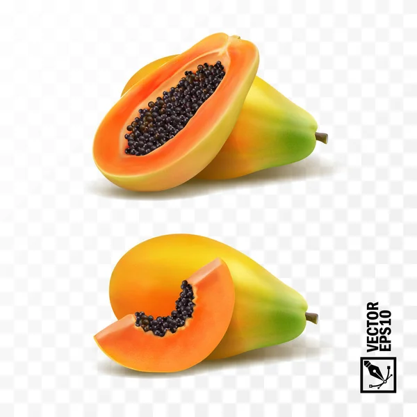 Trozos enteros y trozos de papaya fruta, vector aislado realista 3D, malla hecha a mano editable — Vector de stock