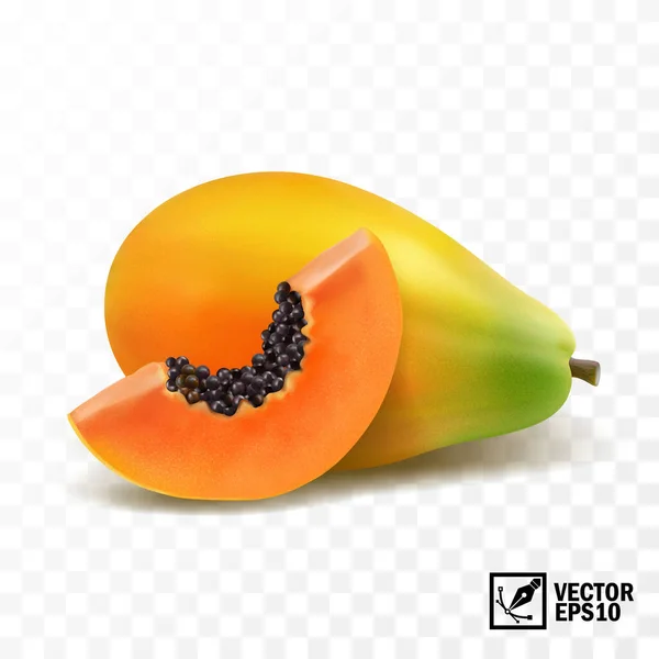 Pedaços inteiros e fatias de frutas de mamão, vetor isolado realista 3D — Vetor de Stock