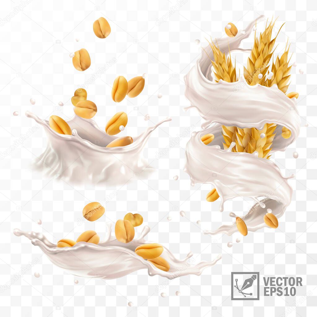 3d realistic vector splash of milk or yogurt with wheat grains