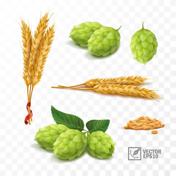 Set réaliste 3d pour bière, épis et grains de blé, cônes de houblon — Image vectorielle