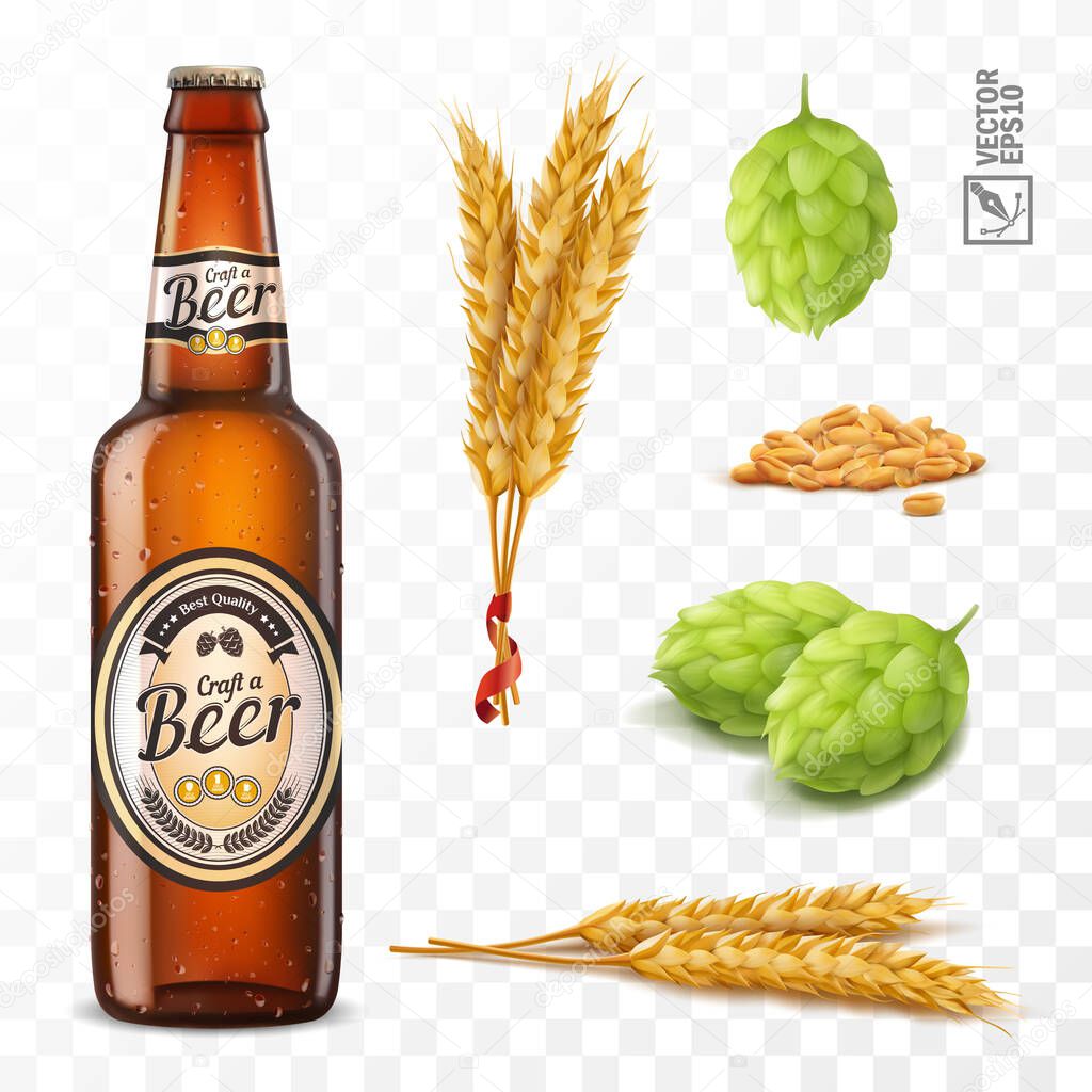 3d realistic set for beer, ears and grains of wheat, hop cones, bottle brown beer with label