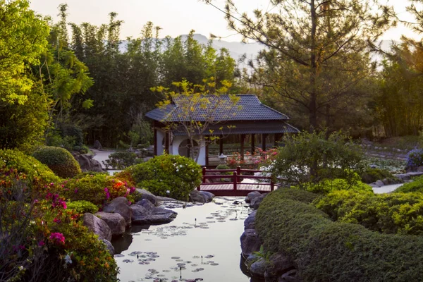 japanesse pagoda bir zen bahçesi havuz üzerinde