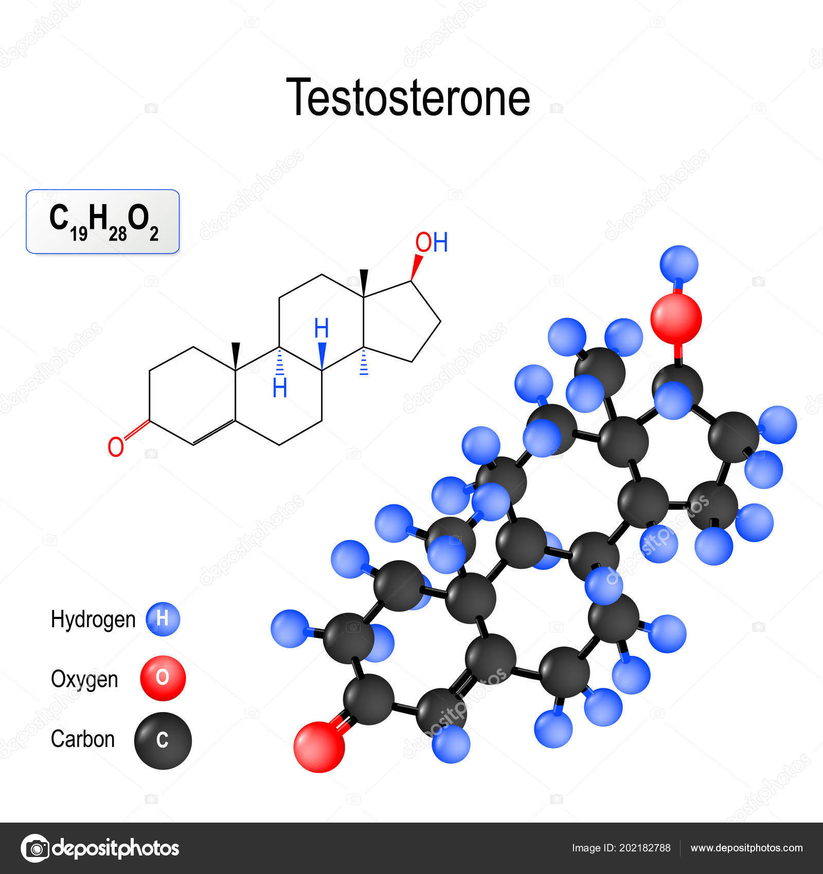 How To Start steroide legale With Less Than $110