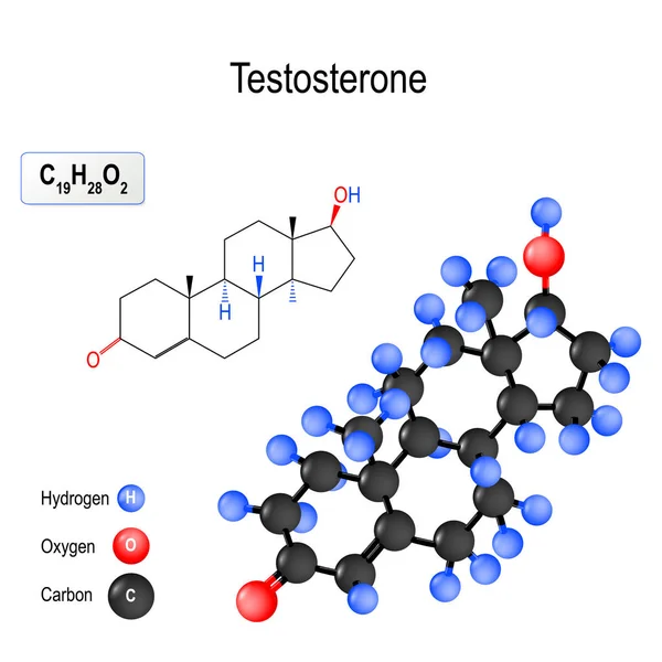 Tesztoszteron Elsődleges Férfi Nemi Hormon Anabolikus Szteroid Molekula Szerkezete Kémiai Stock Vektor