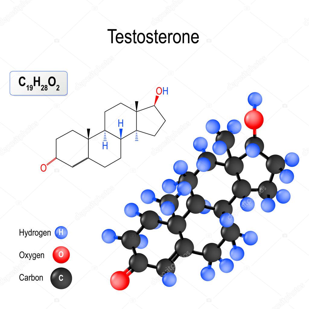 Testosterone is the primary male sex hormone (anabolic steroid). Structure of a molecule. chemical formula and model of the Testosterone molecule. vector illustration for medical, educational and science use