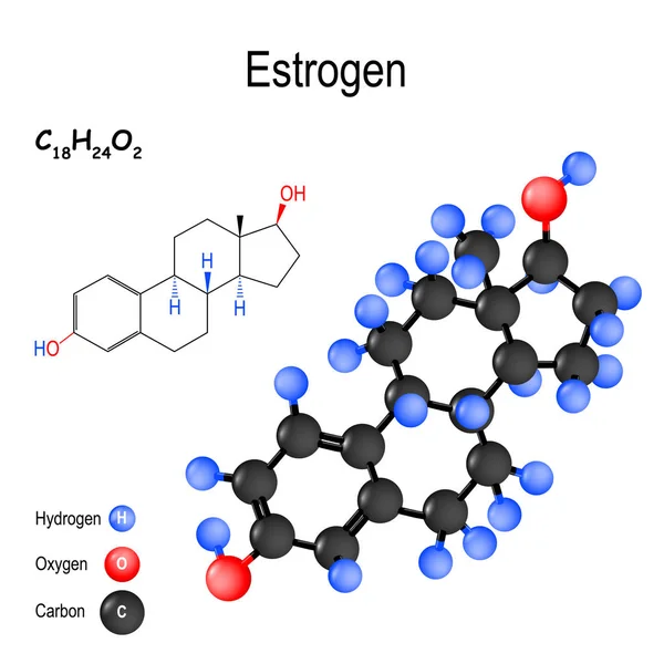 Estrogénio (estrogénio, estrona, estradiol, estriol) ) —  Vetores de Stock