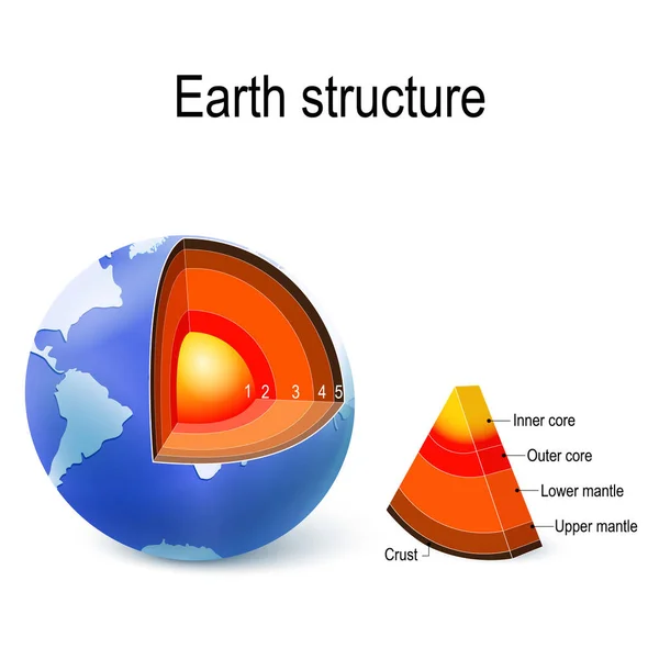 地球的内部结构 剖面和层数 上地幔 下地幔 外核和内芯 教育和科学用途的向量例证 — 图库矢量图片