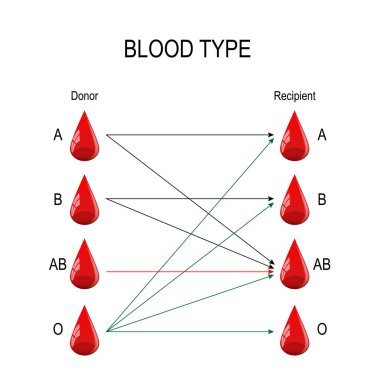 Alıcı ve verici. Kan bağış ve kan almak için gruplar arasında özel bir uyumluluk olduğunu (A, B, Ab, O) türleri. Kan grubu yalnızca belirli bir tür veya alınan biri tarafından bağışladı. Tıp, eğitim kullanmak için vektör diyagramı