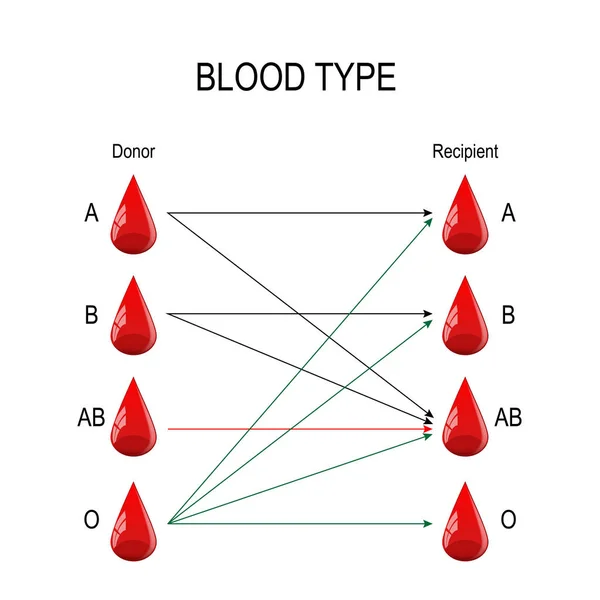 受信者は ドナー 血の寄付と送受信グループ間特定の互換がある血 の種類 血液グループの特定の種類のみを受信または誰かによって寄付できます 教育用のベクトル図 — ストックベクタ